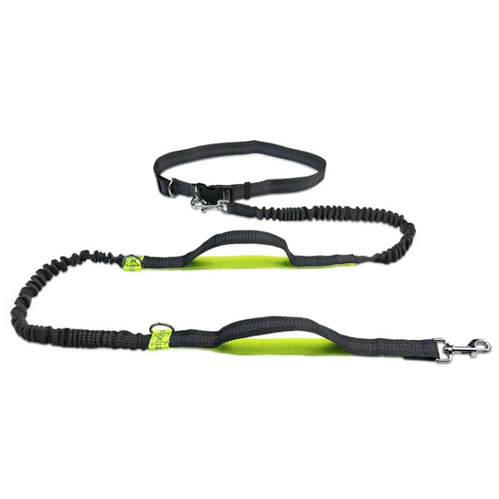 Reflective Rope Pet Leashes by Anti Spier