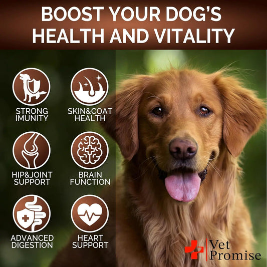 Mushroom for Dogs 170 Chews Turkey Tail Mushroom for Dogs Lions Mane Reishi by Anti Spier