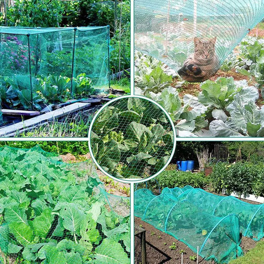 33FT Anti Bird Netting Pond Net Protection Tree Crops Plants Fruits Garden Mesh by Anti Spier