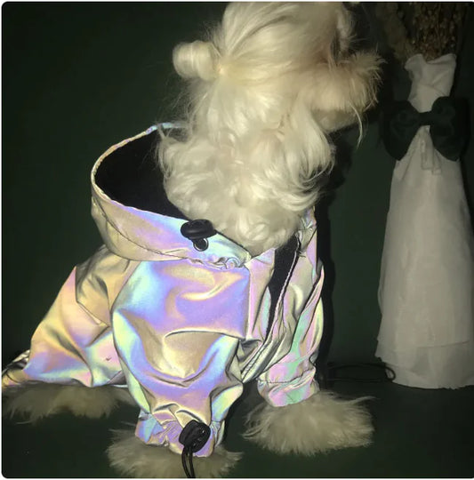 Reflective Windbreaker Hoodie for Dogs – Stylish Pet Coat by Anti Spier