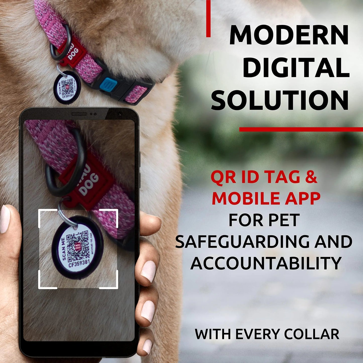 Reflective Cotton Dog Collar Eco Friendly Alt to Nylon Collar 10 16 in Neck x by Anti Spier