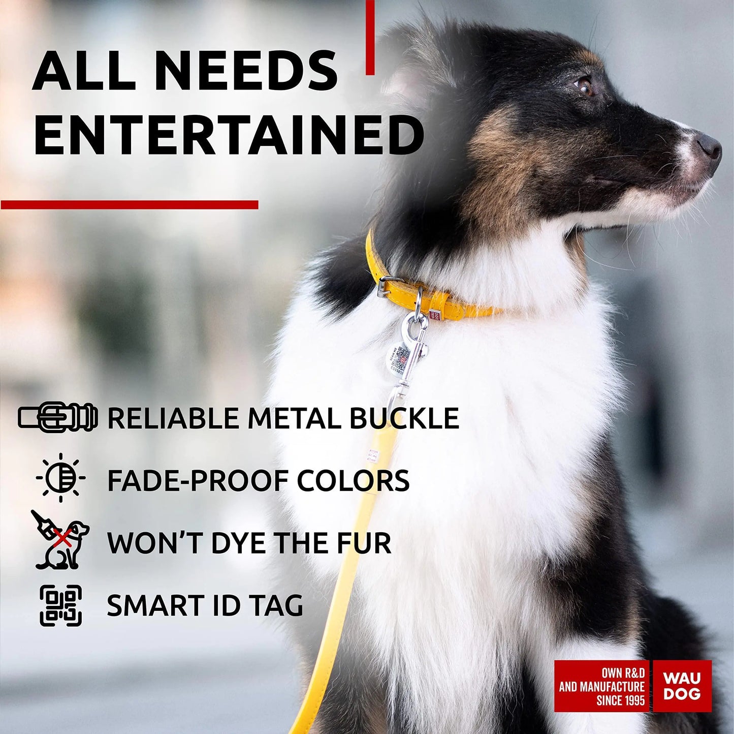 Ultra Soft Rolled Leather Dog Collar 2124 inch Neck Yellow Padded Dog Collars by Anti Spier