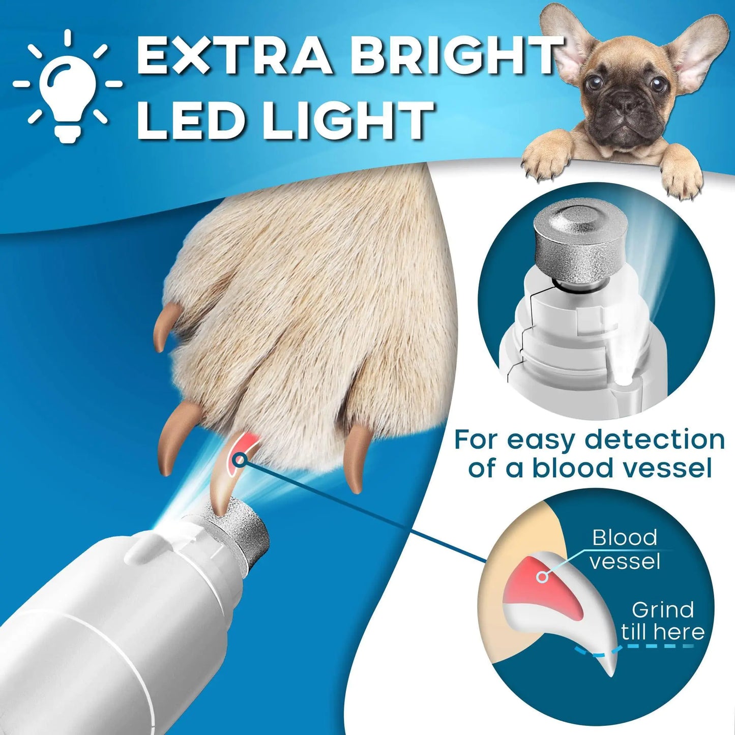Dog Nail Grinder with LED Light Rechargeable for Large Medium & Small Dogs by Anti Spier