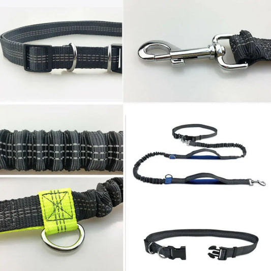 Reflective Rope Pet Leashes by Anti Spier
