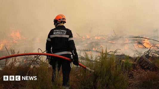Aerial view of wildfires in France