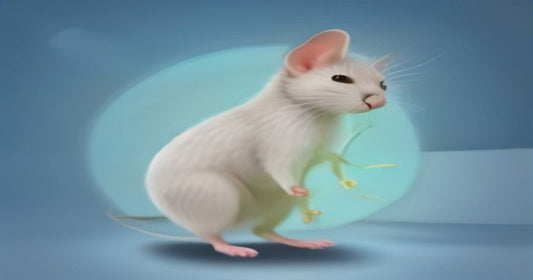 Laboratory mouse receiving GLP-1 injection in a controlled study
