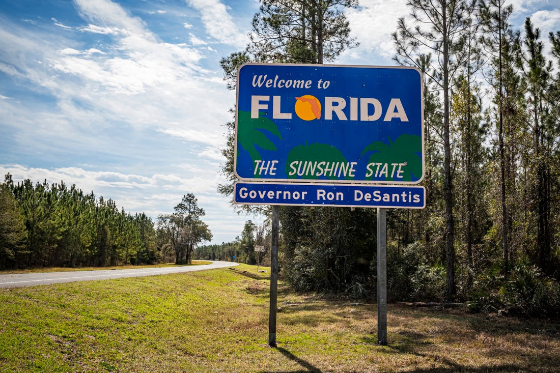 Screenshot of a public file‑sharing page showing leaked Florida driver records