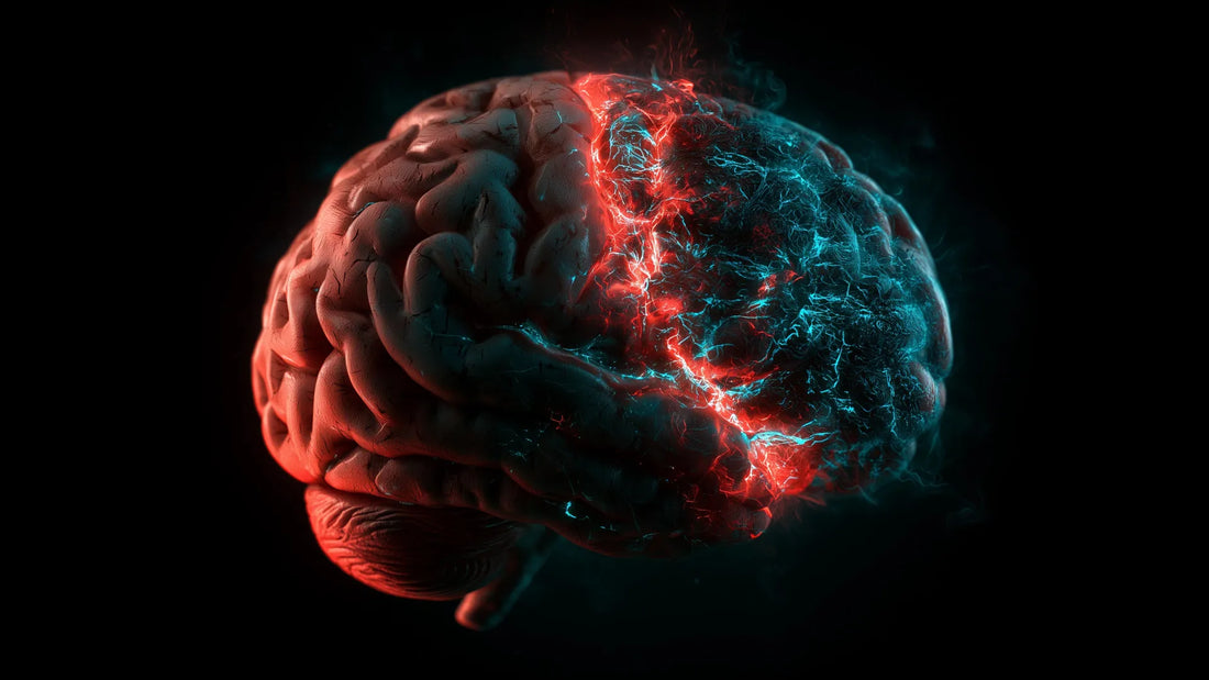 Microscopic image of neuronal chromatin highlighting stress‑induced modifications in mouse brain tissue