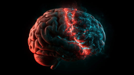 Microscopic image of neuronal chromatin highlighting stress‑induced modifications in mouse brain tissue