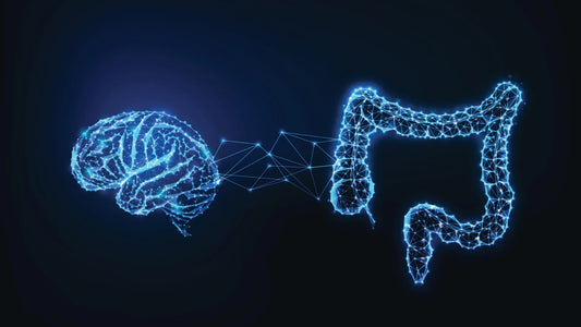 Illustration of the gut-brain axis