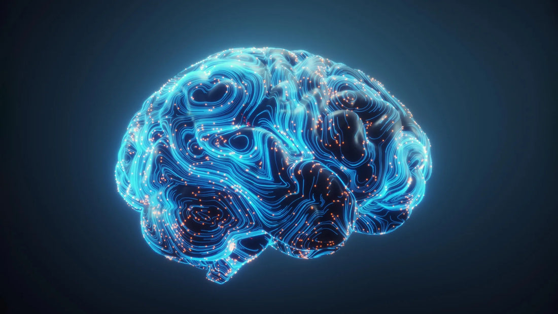 Brain scan showing neural rewiring
