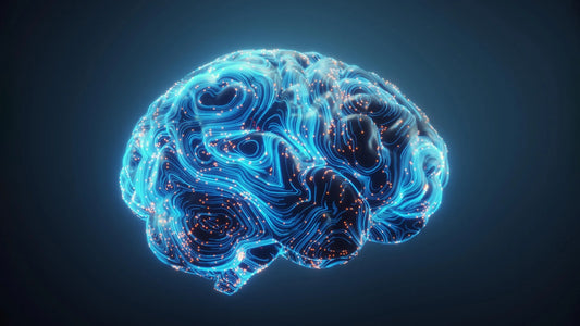 Brain scan showing neural rewiring