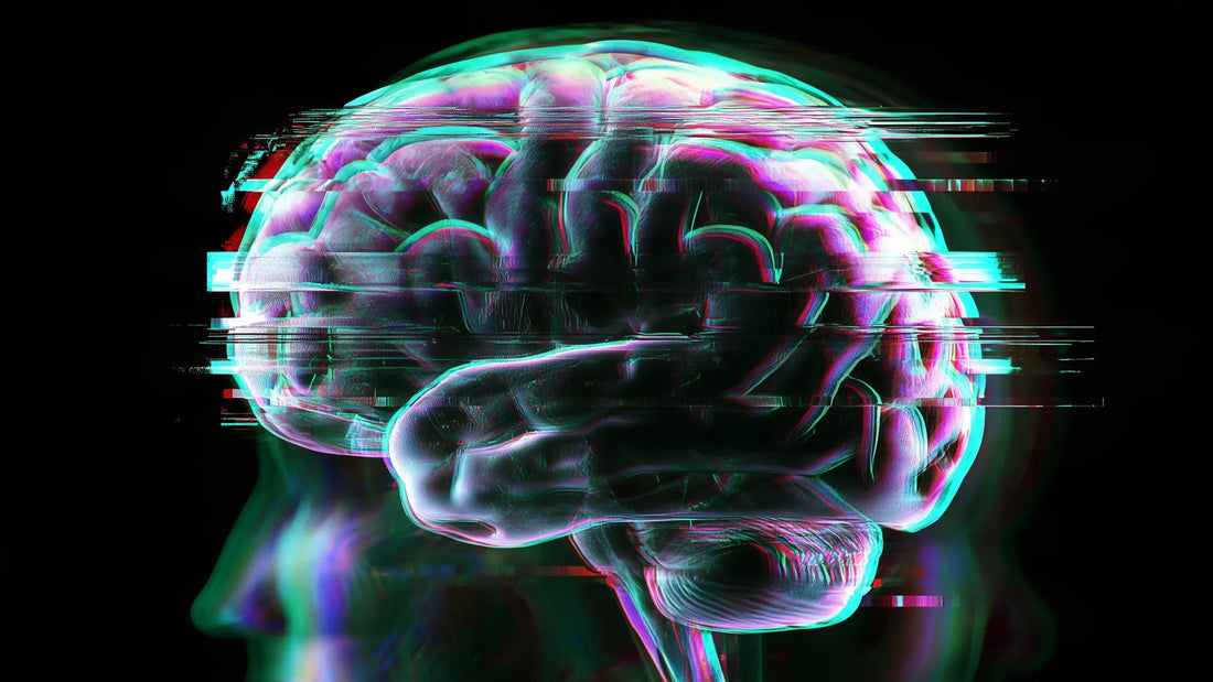 Heatmap of brain regions showing five distinct connectivity patterns identified in depressed participants