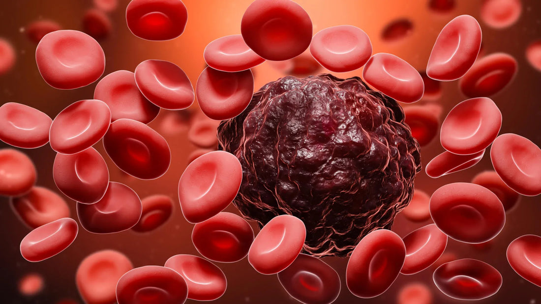 Microscopic image showing CRISPR‑edited hematopoietic stem cells lacking CD33 surface protein