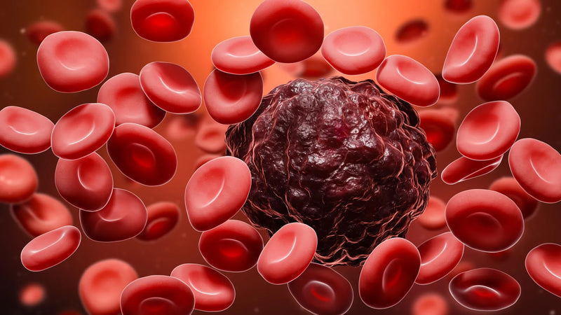 Microscopic image showing CRISPR‑edited hematopoietic stem cells lacking CD33 surface protein
