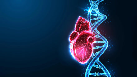 A graph showing the relationship between Lp(a) levels and cardiovascular risk