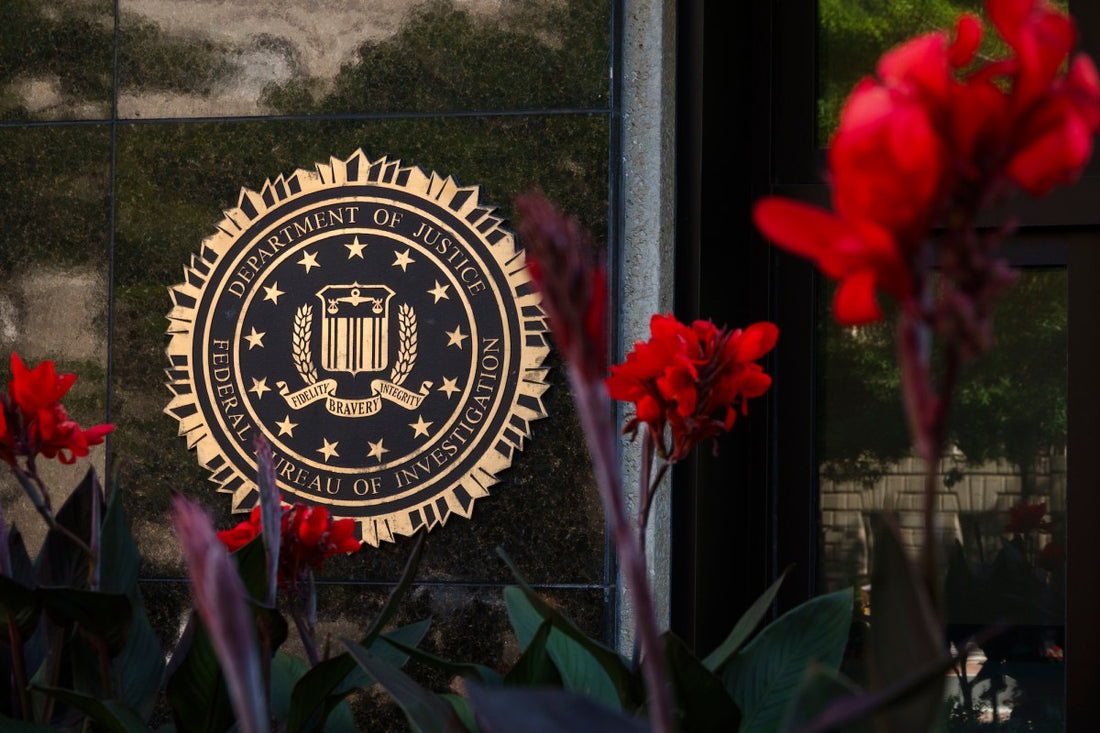 Illustration of a hacker extracting personal records from a federal database