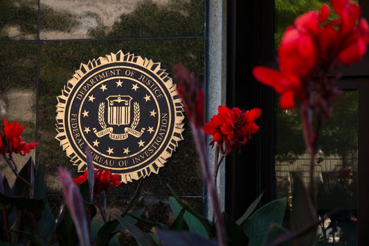 Illustration of a hacker extracting personal records from a federal database
