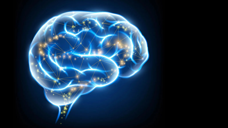 Brain MRI highlighting microvascular perfusion differences in patients on NOACs versus warfarin