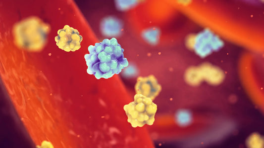 Microscopic image of insulin-producing cells