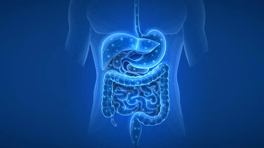 Microscopic view of diverse gut bacteria altered by medication exposure