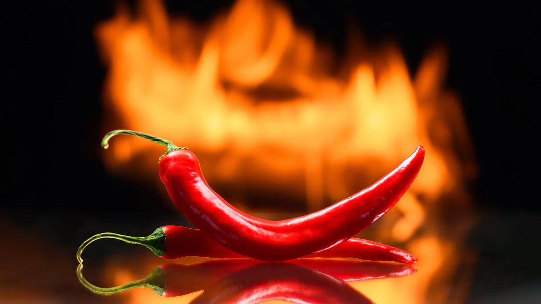 A bowl of chili peppers