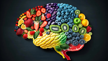 MRI cross‑section showing reduced grey‑matter loss in participants following the MIND diet