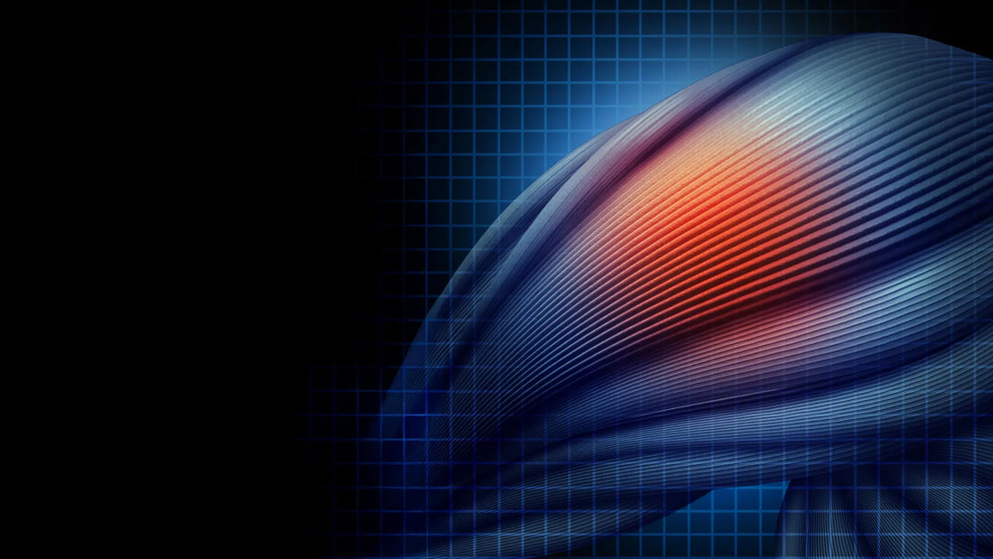 Cryo‑electron microscopy image showing a statin molecule bound to a muscle cell calcium channel