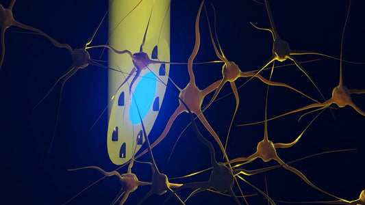 Illustration of a hair‑thin flexible fiber brain implant inserted into a mouse brain, showing recording, drug delivery, and stimulation ports