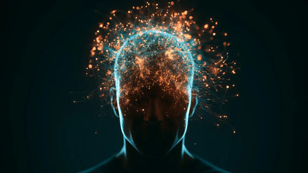 fMRI image highlighting language‑processing regions active during general anesthesia