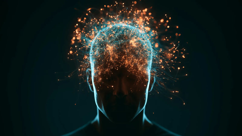 fMRI image highlighting language‑processing regions active during general anesthesia