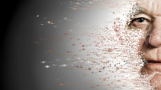 Microscopic image of mouse macrophages engulfing senescent cells after receptor blockade