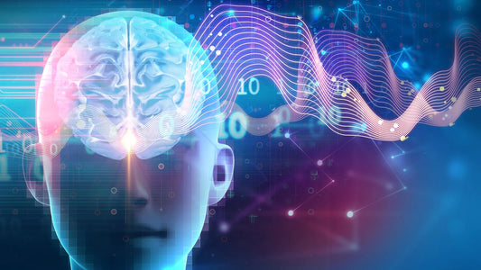 Brain scan image