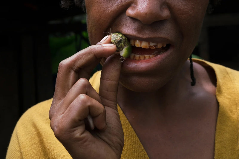 Archaeologists uncover betel‑nut fibers in dental calculus of a 4,000‑year‑old skeleton in Southeast Asia