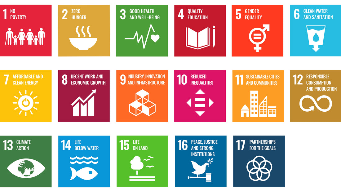 Infographic showing all 17 UN Sustainable Development Goals with icons representing each target