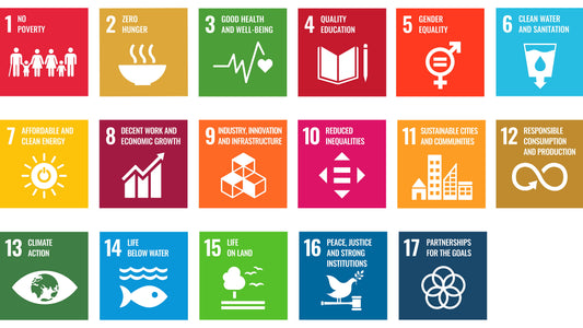 Infographic showing all 17 UN Sustainable Development Goals with icons representing each target