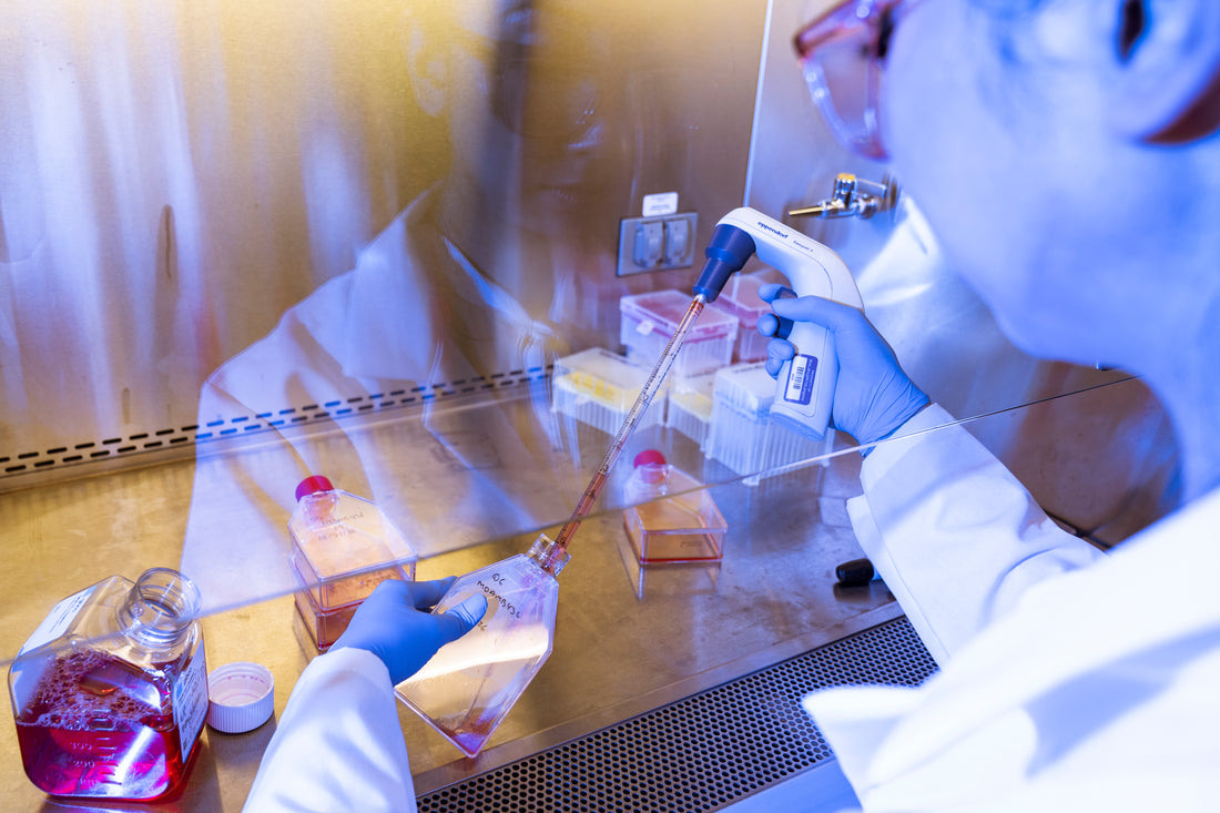 Microscopic image of CRISPR-modified human embryo cells showing targeted gene correction