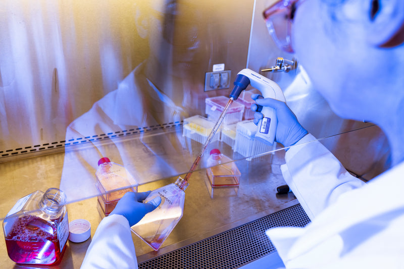 Microscopic image of CRISPR-modified human embryo cells showing targeted gene correction