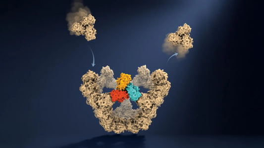 Electron microscope image showing sequential stages of virus-like particle assembly captured by Oxford researchers