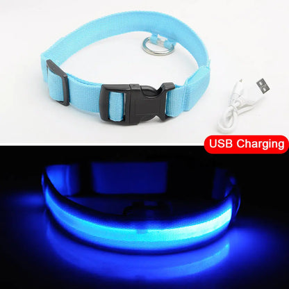 LED Dog Collar - Anti-Lost Rechargeable Safety Light-Up Collar for Night Walks by Anti Spier