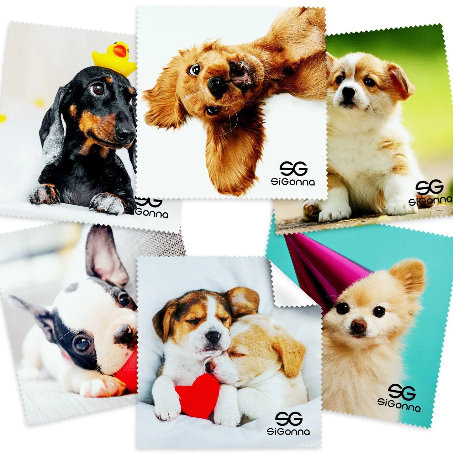 Microfiber Cleaning Cloth for Glasses Lens Camera Phone Screen 6 Pcs Very Soft by Anti Spier
