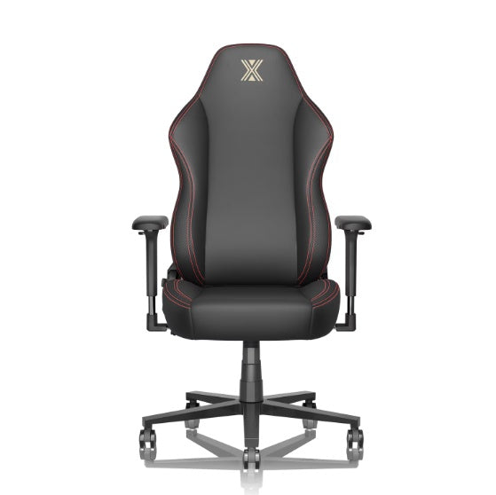 Lumbar Support, Flip Armrests, Headrests, Desk Chairs by Anti Spier
