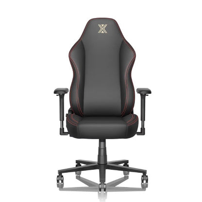 Lumbar Support, Flip Armrests, Headrests, Desk Chairs by Anti Spier