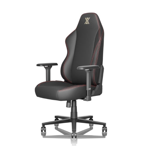 Lumbar Support, Flip Armrests, Headrests, Desk Chairs by Anti Spier
