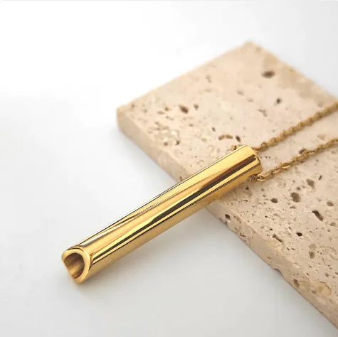 Titanium Whistle Steel Pendant Necklace by Anti Spier