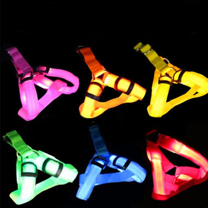 Nylon Pet Safety LED Harness by Anti Spier