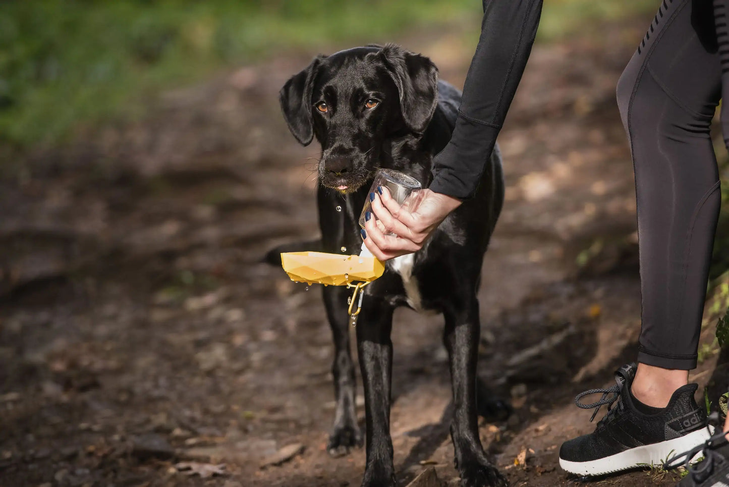 Pet Water Bottle by Anti Spier