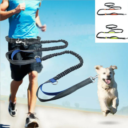 Reflective Rope Pet Leashes by Anti Spier