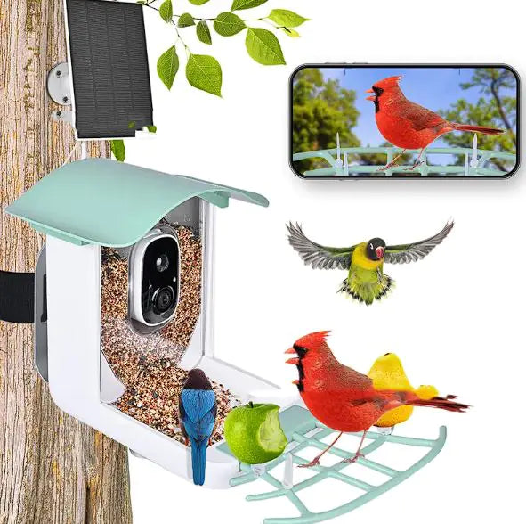 Solar-Powered Waterproof Bird Feeder with Camera by Anti Spier