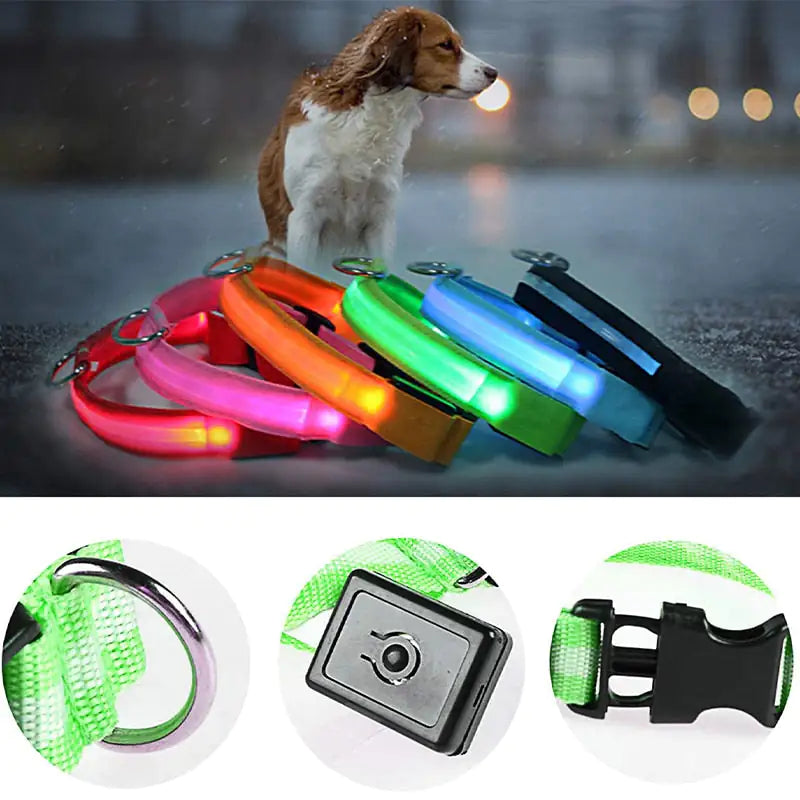Safety And Visibility For Night Walks by Anti Spier